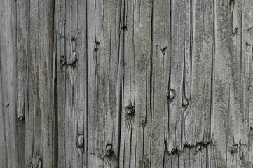 wood with texture