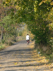 Fototapeta premium cyclist on an empty country road