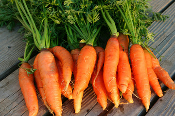 carrots