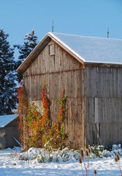 early snow