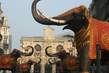 lille 3000 elephants