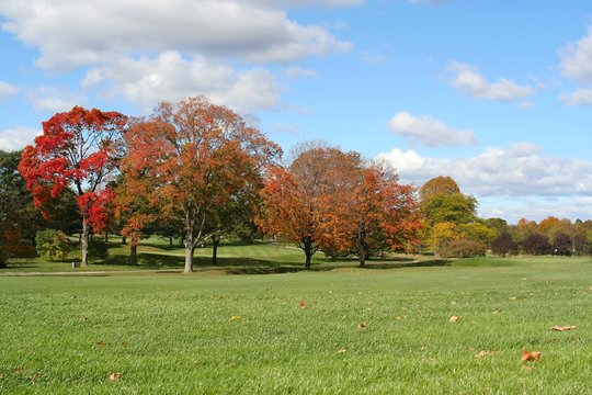 autumn colors