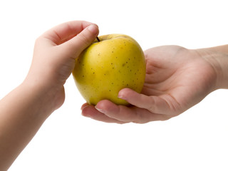 hands and apple