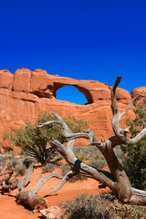 arches national park © Brett Bouwer