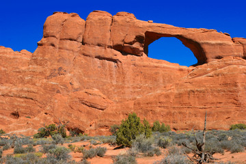 arches national park © Brett Bouwer