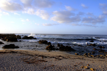 monterey coastline