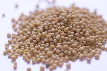 mustard seeds