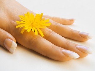 hand and flower
