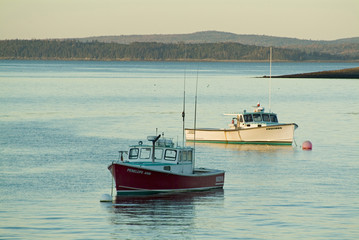 lobster boats docked in bar harbor maine