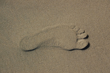 footprint