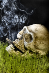 smoking skull
