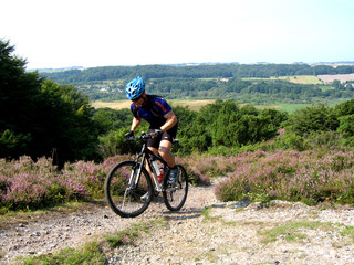 Fototapeta premium mountainbiking