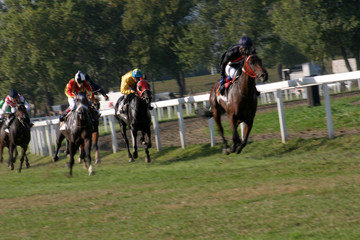 horse racing