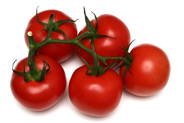 five tomatos on a branch, white background