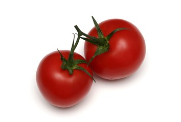 two tomatos on a branch, withe background