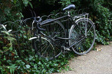 Fototapeta na wymiar zaniechane lub zaparkowany rower