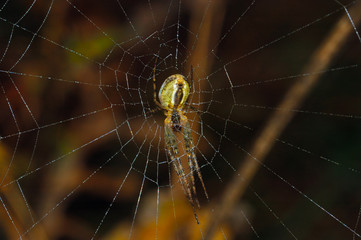 abhängen im netz © Alexander Wurditsch
