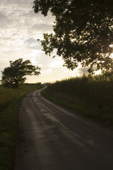 country lane meandering into distance