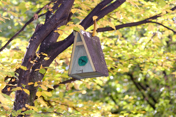 birdhouse