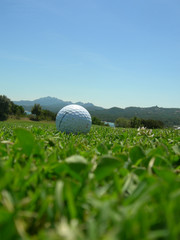 golf ball