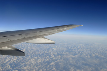 plane wing