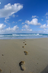 footprints in the sand