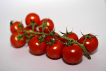 tomatoes