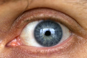 blue eye closeup