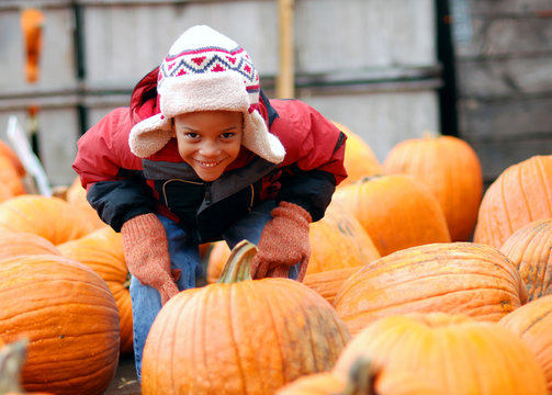 pumpkin patch