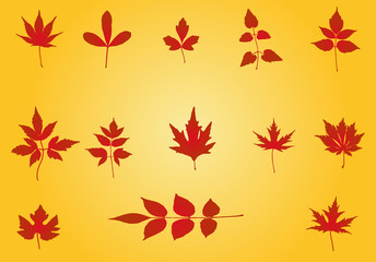  autumn leaves - illustration