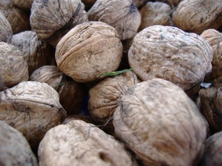 walnuts