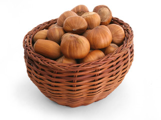basket full of hazelnuts