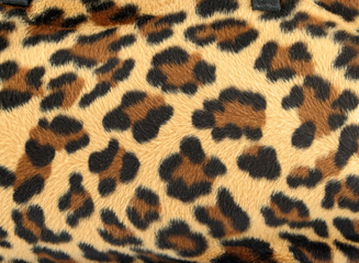 leopard background