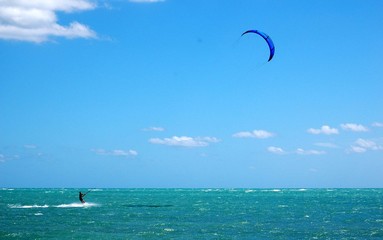 blue surf kite off virginia key