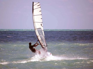 windsurfing /virginia key