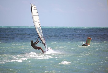 windsurfer