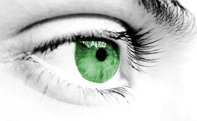 green and gray eye