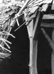 charpente et tuiles 2