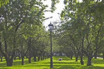young couple in park