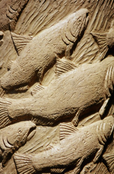 fish carving