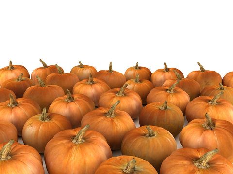 pumpkins on white background