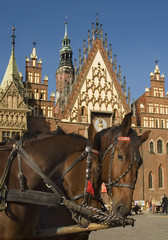 Obraz premium poland wroclaw town hall