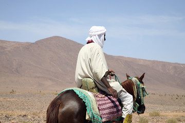 cavalier marocain
