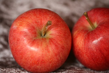 apple