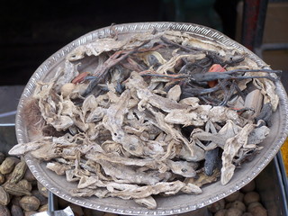 dry lizards-chinese medicine.