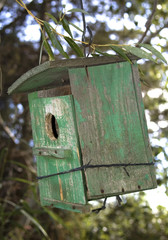 casa de p‡jaros