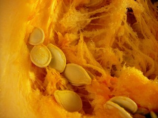 pumpkin half with seeds