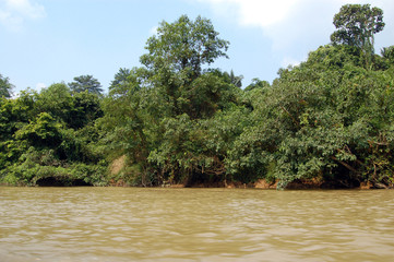 taman negara - river view
