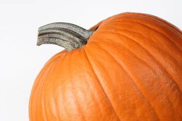 big orange pumpkin. on a white background.
