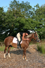 Obraz premium tender gesture